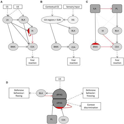 How Metabolic State May Regulate Fear: Presence of Metabolic Receptors in the Fear Circuitry